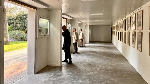 上海解锁“千园之城”,遛娃拍照吸氧圣地,哪个是你最爱?