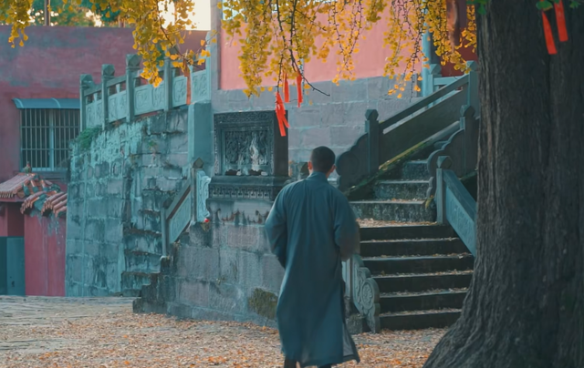 成都绝佳赏银杏景点，拥有两棵千年“夫妻树”银杏树，却少有人知