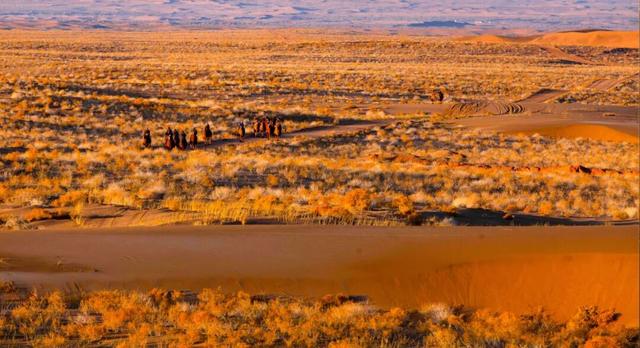 走进魅力北疆 遇见金色阿拉善