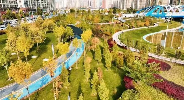 临夏秋日：在暖阳里邂逅街巷与公园的诗意