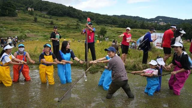 元阳，全球唯一“三遗产”地标！