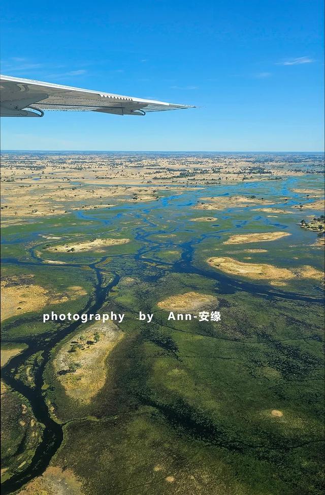 “水上游猎”的传奇目的地——博茨瓦纳！“沙漠绿洲”中游猎体验
