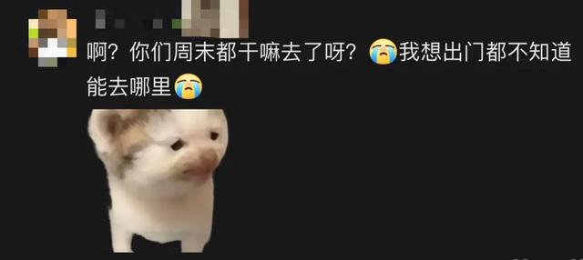 不想被调教了,终于有人教我怎么玩了?