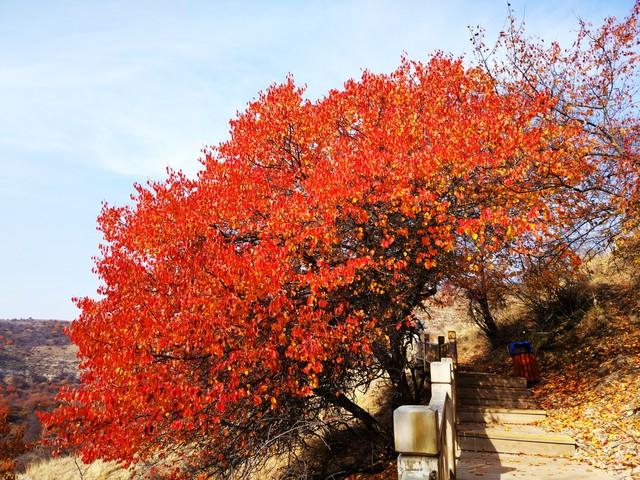 不藏了，山西5个秋色仙境，最后一个惊艳了千年时光！