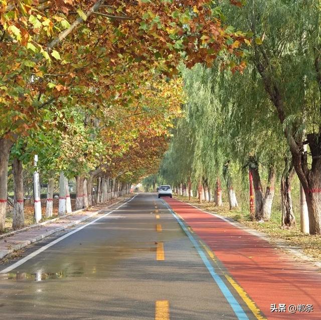 魏县:一卷斑斓 满城诗意