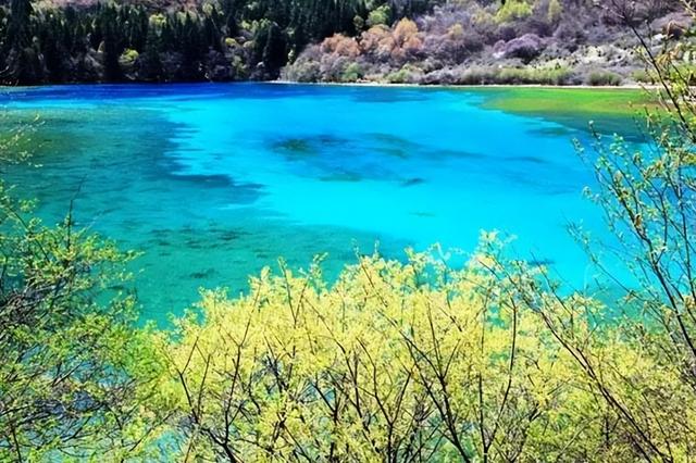 第一个发现九寨沟烤肠的人，绝对是天才