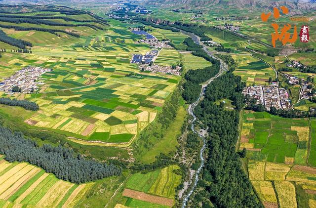 【小陇画报·433期】天祝哈溪：白雪绿林同框 冬日浪漫如画境