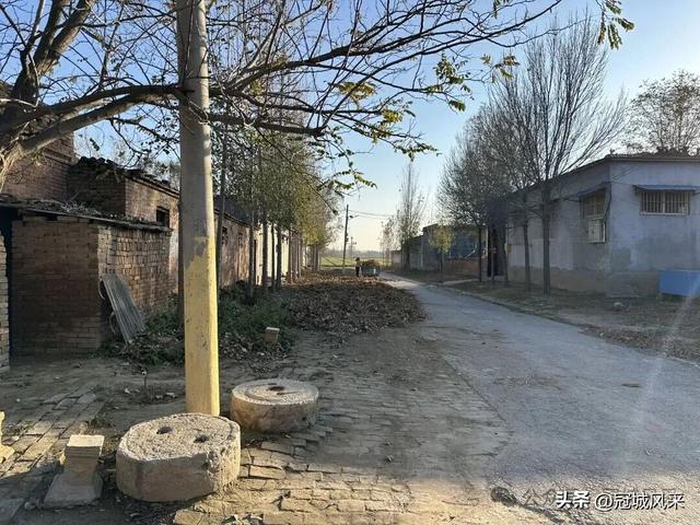 冠县乡韵·贾镇荆楼村