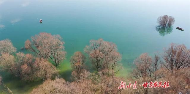 “蓝色黄河·阳光永靖”媒体及网络达人采风活动探路者观察