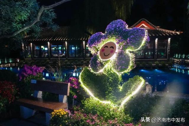 4米巨型大立菊见过吗？第46届趵突泉金秋菊展明天开幕！5大亮点抢先看→
