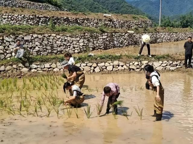 宝鸡太白：旅游避暑季热潮为文旅商体融合注入新活力