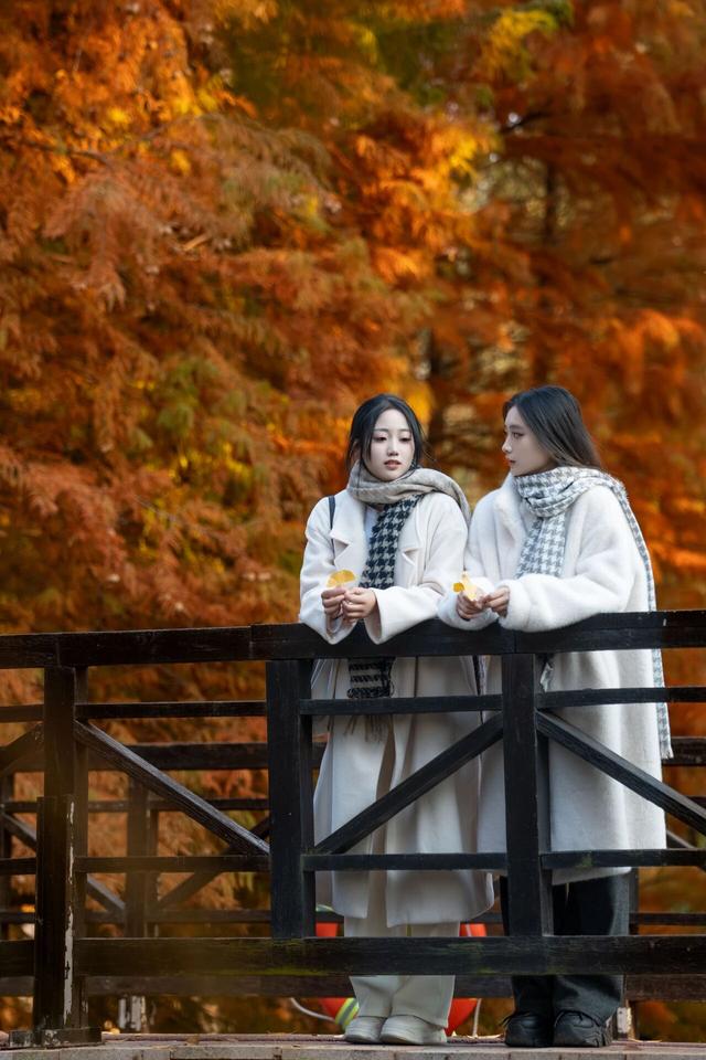 串场河畔，藏着 “橙黄橘绿” 的浪漫暴击~