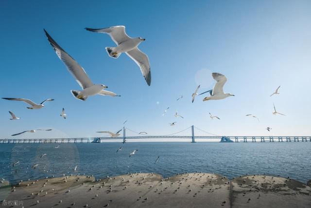 大连最值得去的8个免费景点，好玩又好拍！想去大连旅游的有福了