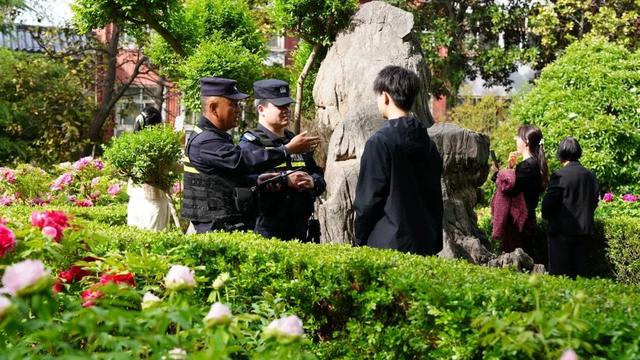 护航牡丹文化节丨黑的白的红的黄的紫的绿的蓝的