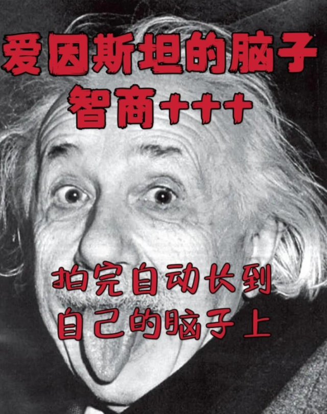 闲鱼真是越来越离谱了，人类对它的开发不足1%
