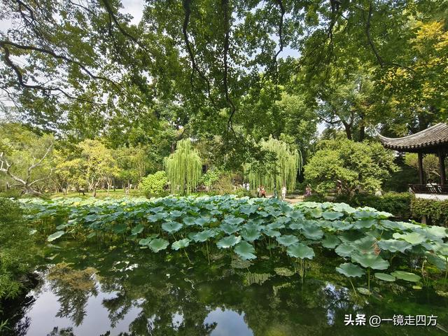 临近国庆，在还很闷热的天气里，游览市内现存最大的园林拙政园