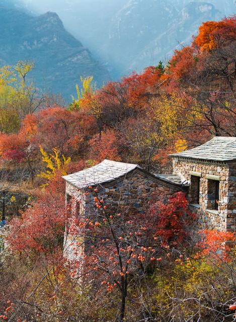 没人喜欢孤独，只是害怕失望一场关于心碎与自我安慰的幽默大逃亡