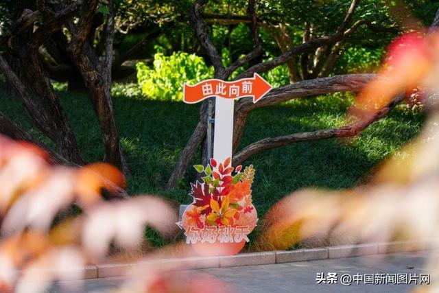 香山公园赏秋游园会焕新登场，多元化玩法等您开启