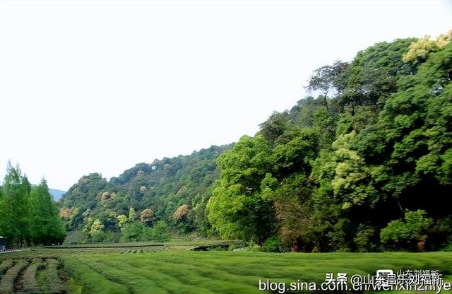 杭州324路公交车沿途风光（皖浙沪旅游122）
