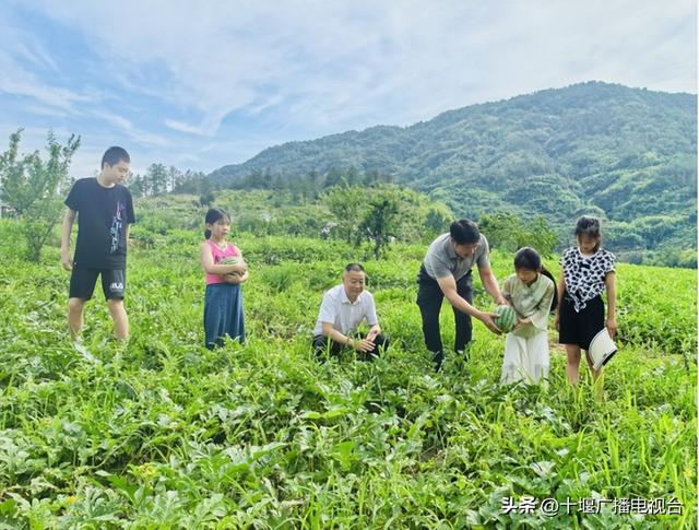 秦巴寻幽：竹溪南山走人家