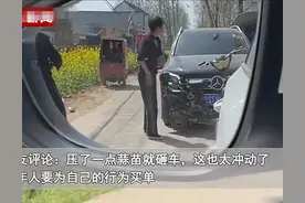 奔驰压到蒜苗遭农妇砖头砸车 不是农村人不认识奔驰 而是不敬畏法律图片