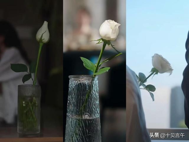 推荐三部“零差评”短剧，每部都值得熬夜追，错过就是一种遗憾！
