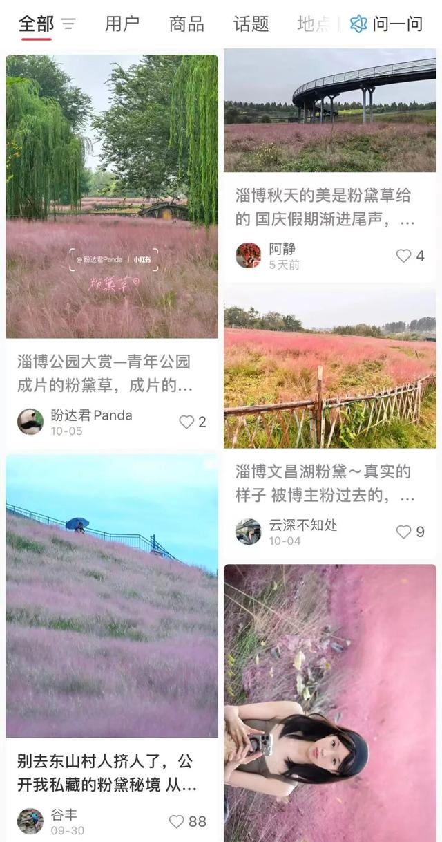 淄博，粉了粉了！很多人都拍到了！