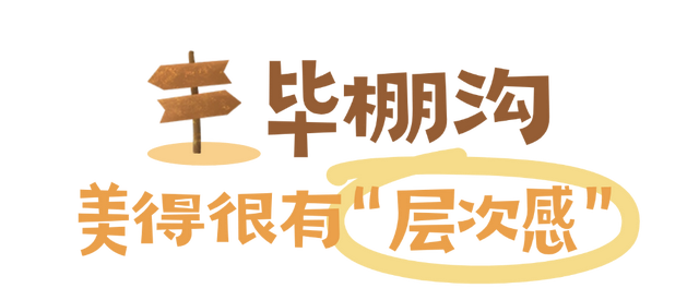“捡”秋，本宫的眼睛想看彩林了！