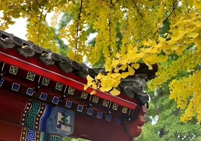 明日立秋，60年一遇，既是“闭眼秋”，又是“穿衣秋”！有何预兆