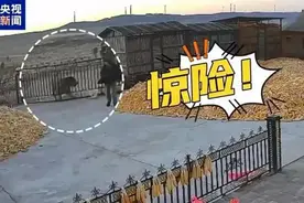 300多年前四川虎灾，74人同行、被吃42人，如今却不见老虎踪影?图片