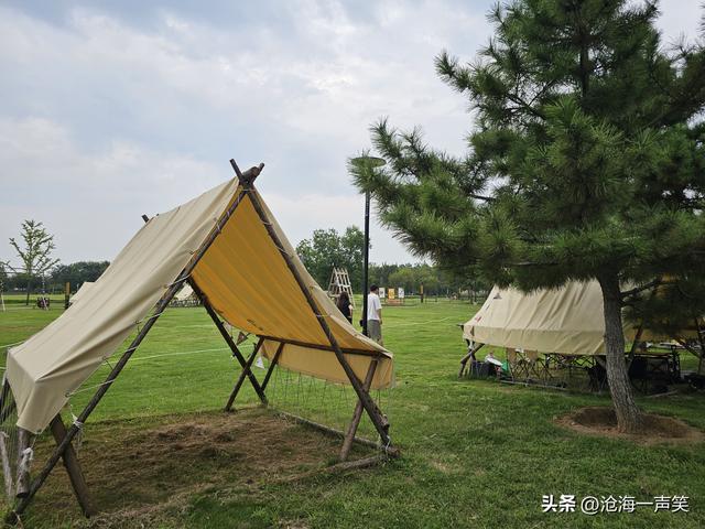 秋色依依，露营柔柔，微风习习，人生得意须尽欢，莫使金樽空对月