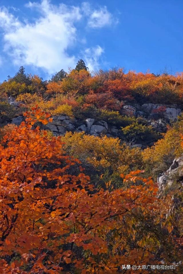 寻迹尖草坪丨初冬限定！这6处绝美风景，再不去真的要等一年！