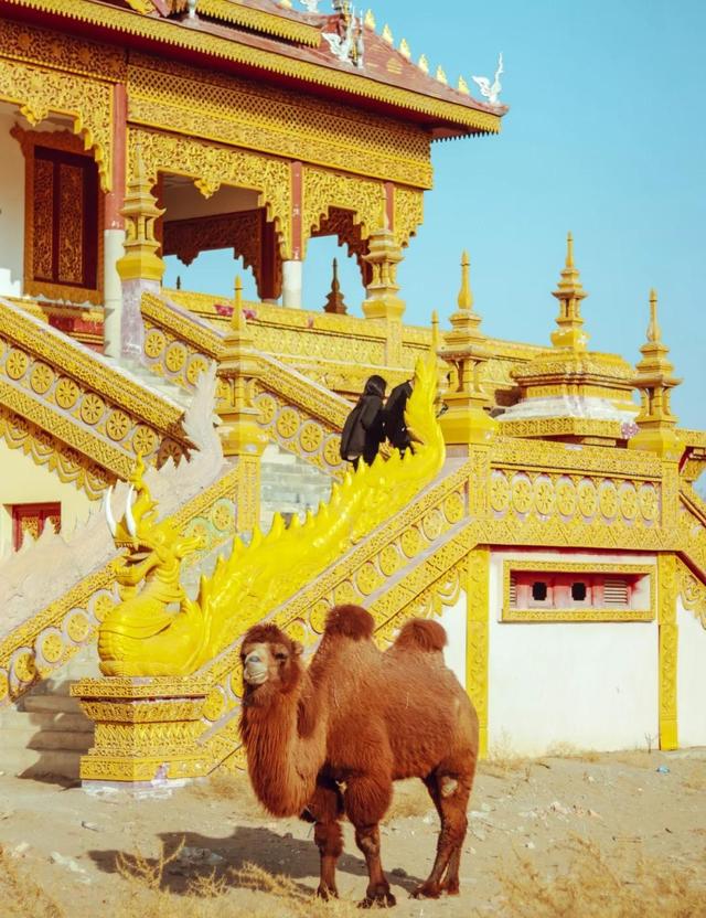 甘肃武威的沙漠公园