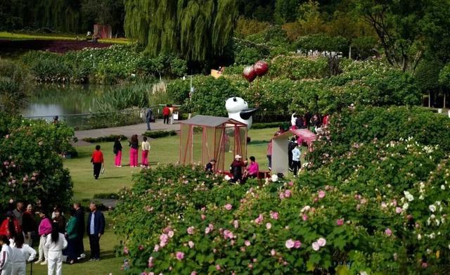 滴！赏秋“快递员”小园，持续为您派件→