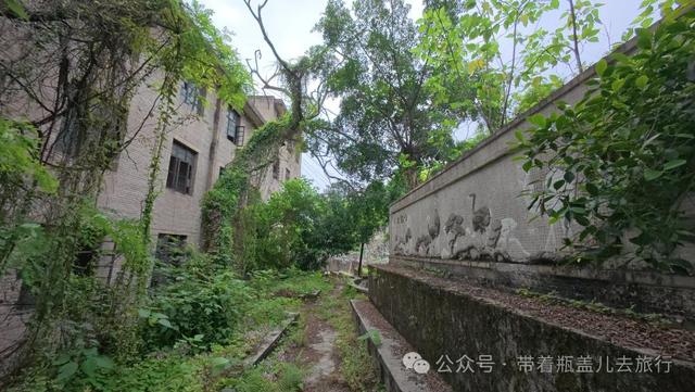大渡口长江边的神秘废墟！99%重庆人不知道的绝美江景竟无人问津