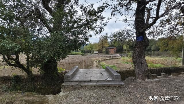 金叶映古村，醉美长岗岭