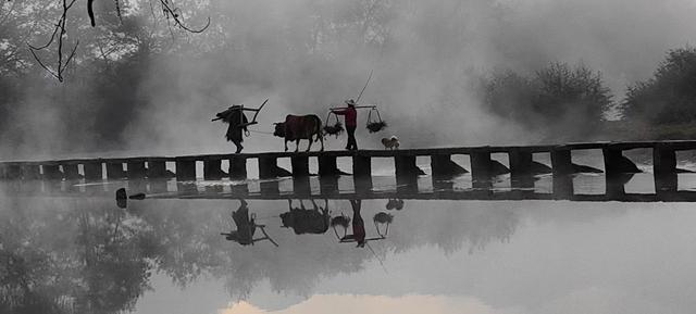 浙东行吟：桃源仙境采风牌 岩下石头村完美