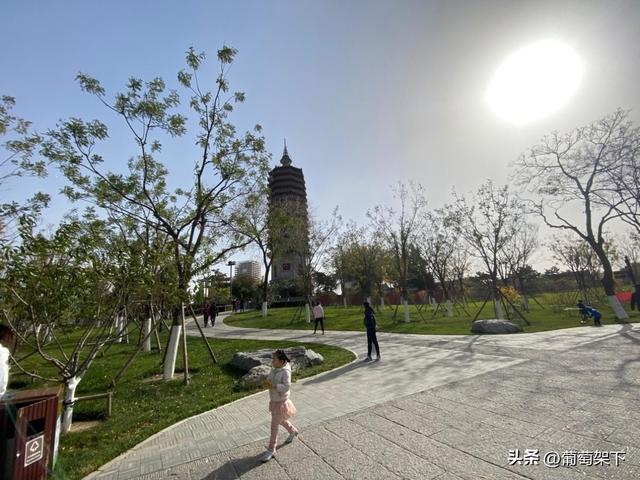 创投市场：探访北京通州大运河的文化符号