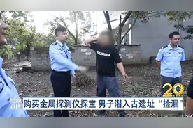 购买金属探测仪探宝 男子潜入古遗址“捡漏” 律师：涉嫌盗掘古文化遗址、古墓葬罪！图片