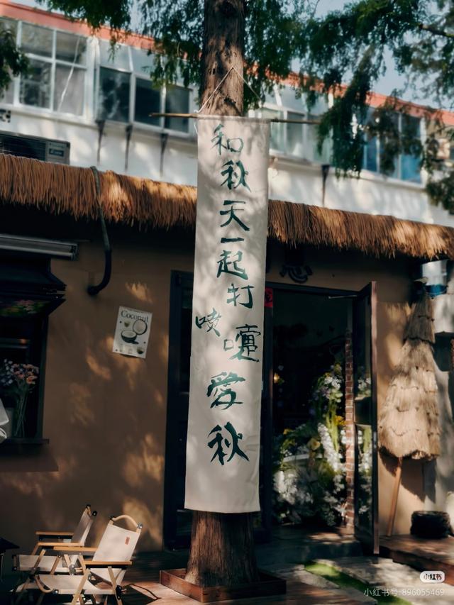 临沂免费赏秋好去处，错过你将后悔一整年！