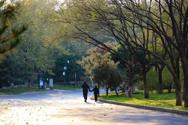 藏不住的惊艳！这座公园正处颜值巅峰