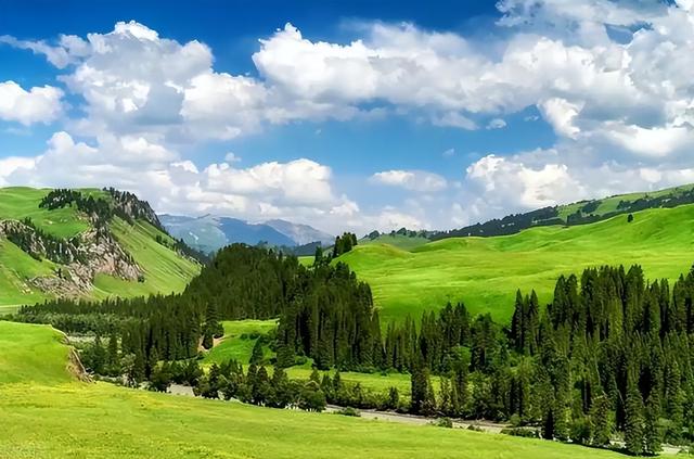 大量香港游客涌入新疆，不看景点不吃羊肉串，跑这么远是想啥？