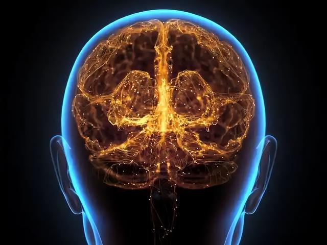 人类皮肤变算力核心？瑞士培育出"湿件"计算机，能解AI能耗危机？