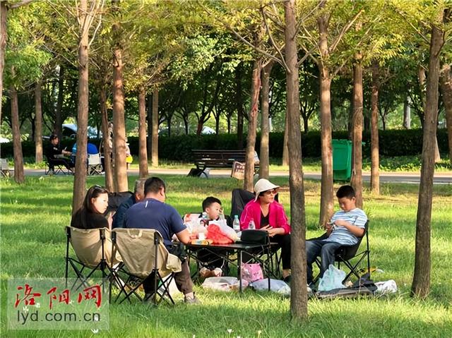 伊水游园求是段：焕新开放 “露”享秋日风光