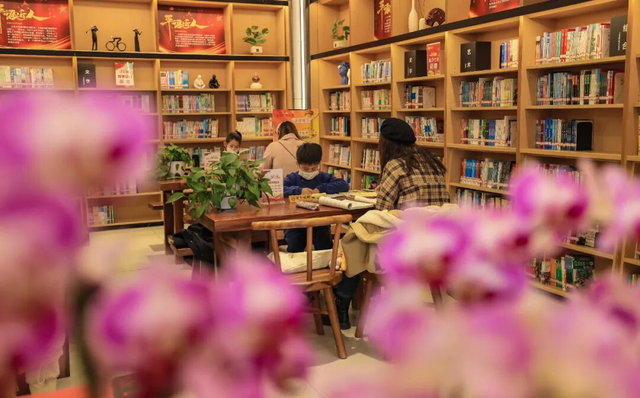 回味2025 | 这一年，“文化菜单”超丰盛！