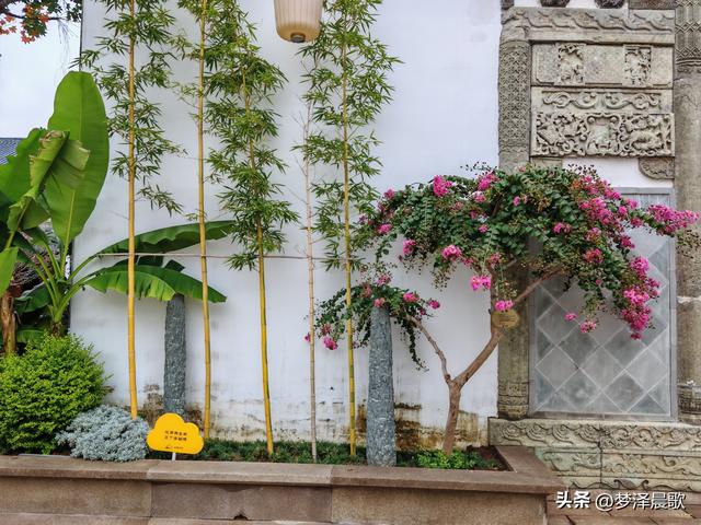 祥云湾竹木赋 ——癸卯秋日云梦纪行