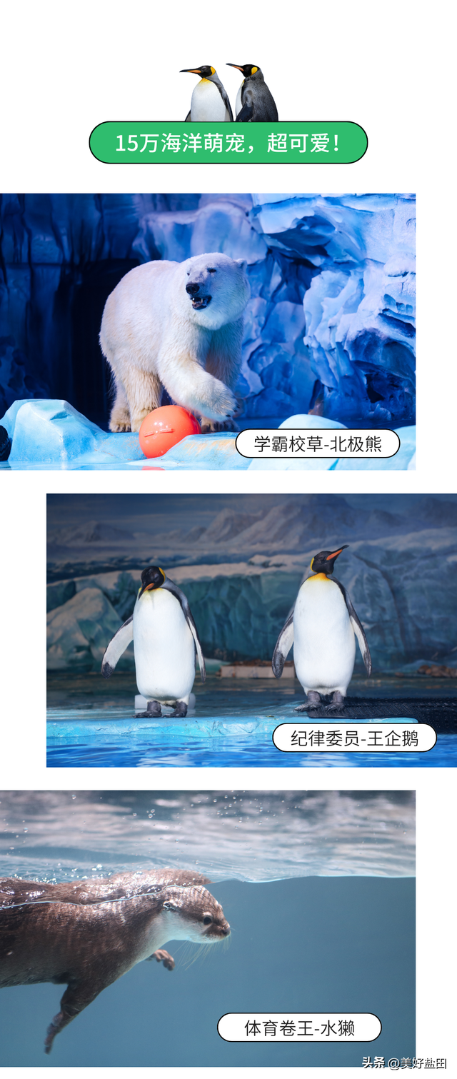 连续七天，教师免票！