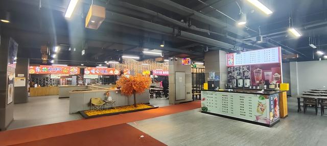 冲鸭！哈尔滨帽儿山滑雪+雪地撸驼骑马全攻略