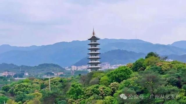 登高赏秋！从化风云岭秋色如画→