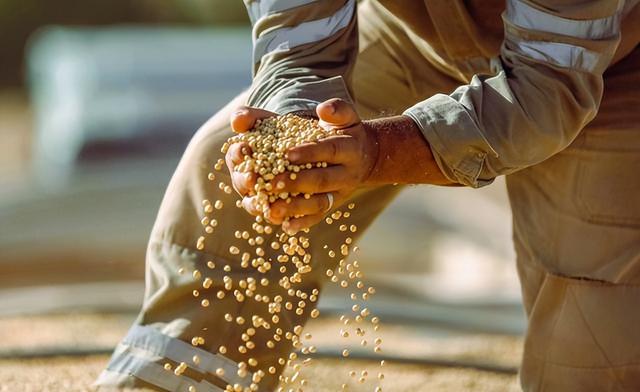 自贸易战以来，意外养肥了这个国家！如今它开始对我们坐地起价！